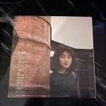 LP 손현희 2집 (그대는 바람) - 음반-장터 - 소리전자 LP  손현희 2집 (그대는 바람) - 음반-장...