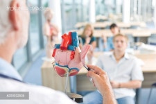 Medicine professor showing model of heart - 당신의 크리에이티브 파트너, ...