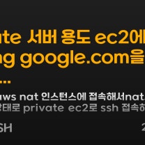 private 서버 용도 ec2에 접속해 <mark>ping google.com</mark>을 쏘면 무반응...의 이미지